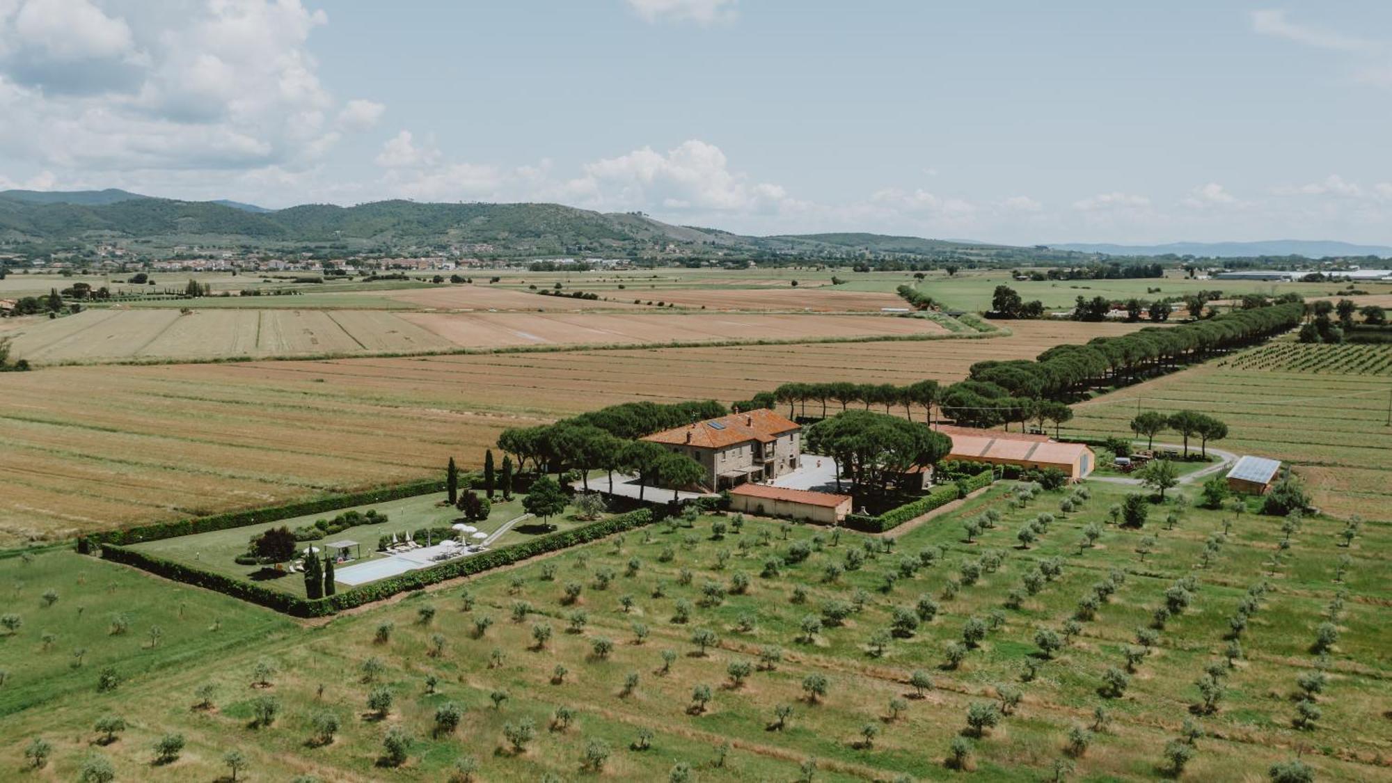 Villa Terra Di Cortona Exterior foto